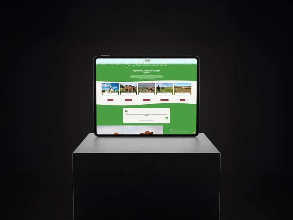 Custom Web Platform & E-commerce for RBST